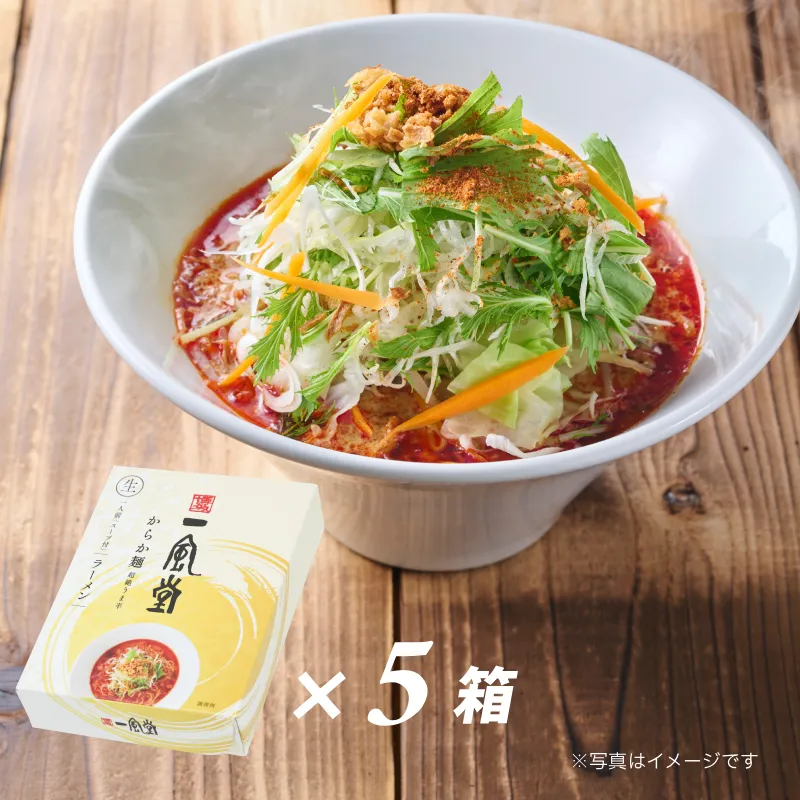 一風堂からか【1人前×5箱】