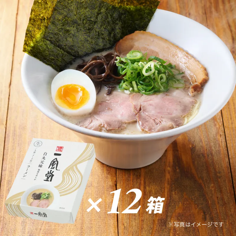 一風堂白丸【1人前×12箱】