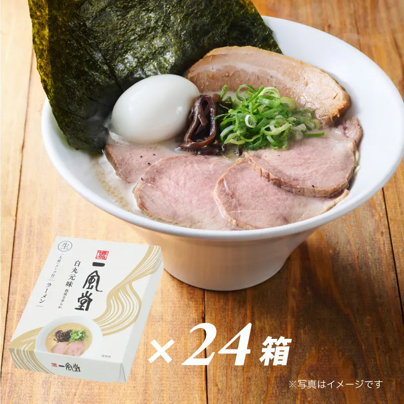 一風堂白丸【1人前×24箱】